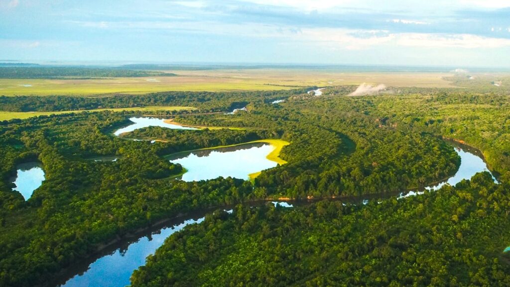 biodiversitet di wwf if