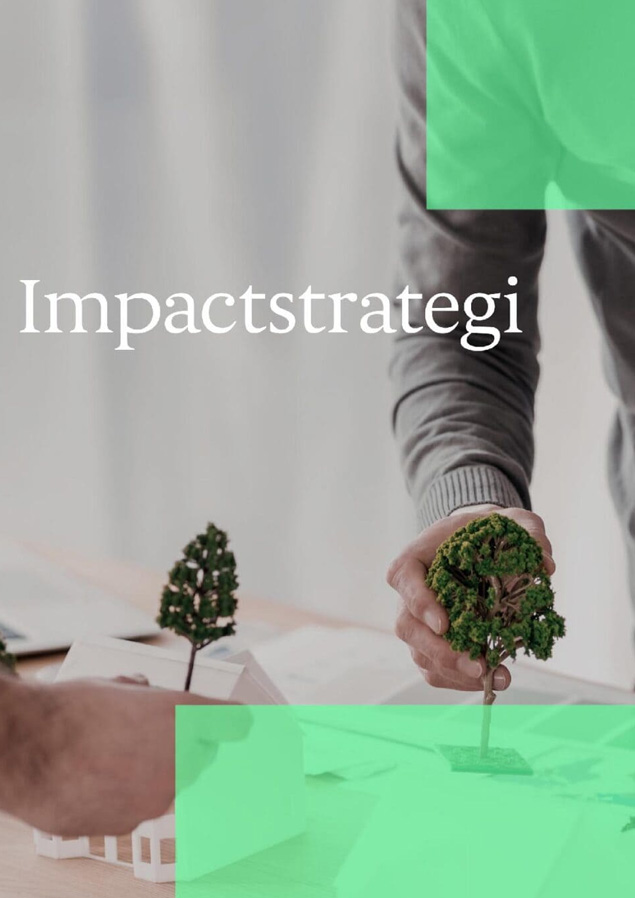 impactstrategi