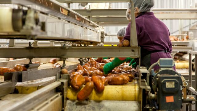 Produktion af fødevarer fører madspild med sig. Her ses et produktionsanlæg med rodfrugter.