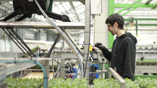 Ved hjælp af automatisering løses flere og flere repetitive opgaver i dag af robotter.